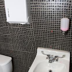 boneshakers bathroom sink