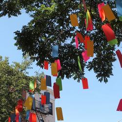 festival exterior design